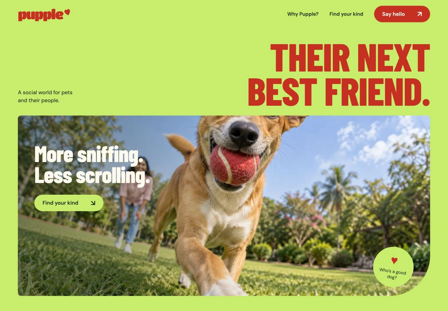 Pupple homepage with a bright green identity and an indie dog carrying a red ball